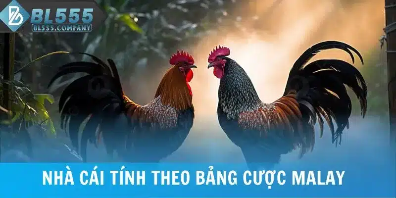 Cá Cược Đá Gà Cựa Sắt Với Tỷ Lệ Thưởng Hấp Dẫn Tại BL555 7 Nhà cái tính theo bảng cược đá gà cựa sắt Malay
