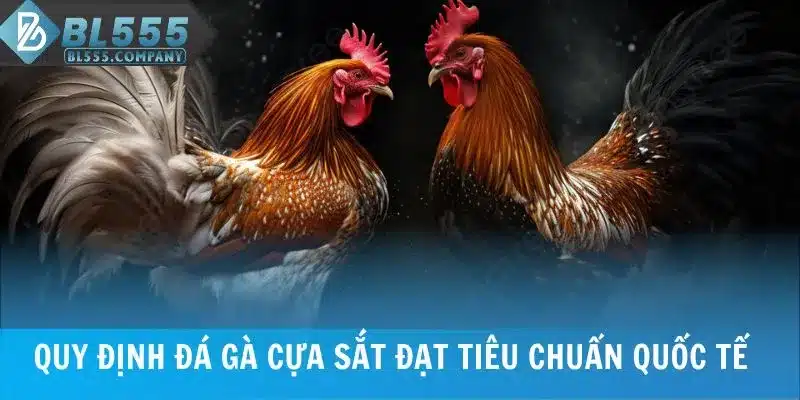 Cá Cược Đá Gà Cựa Sắt Với Tỷ Lệ Thưởng Hấp Dẫn Tại BL555 6 Quy định đá gà cựa sắt đạt tiêu chuẩn quốc tế
