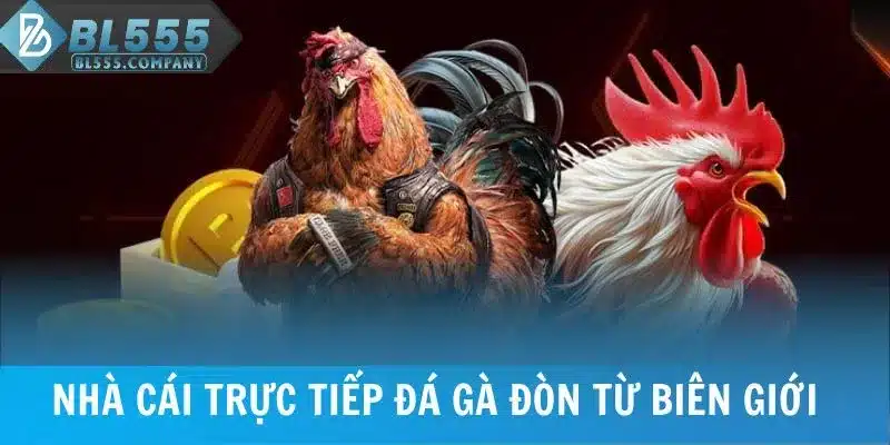 Ưu điểm trực tiếp đá gà đòn từ nhà cái