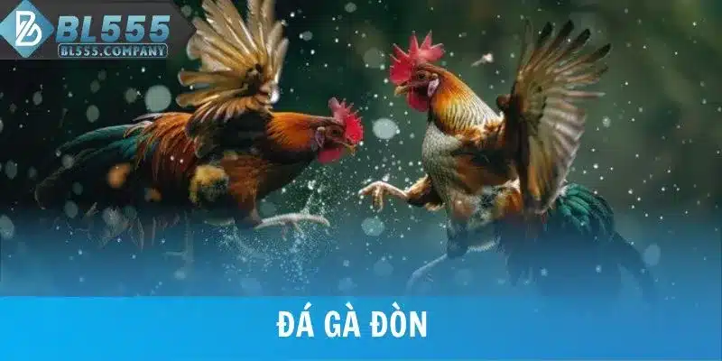 3 Bí Quyết Đá Gà Đòn Chọn Chiến Kê Khả Năng Thắng Cao